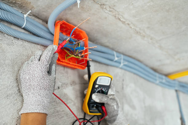 Best Electrician for Home Renovation  in Mckeesport, PA